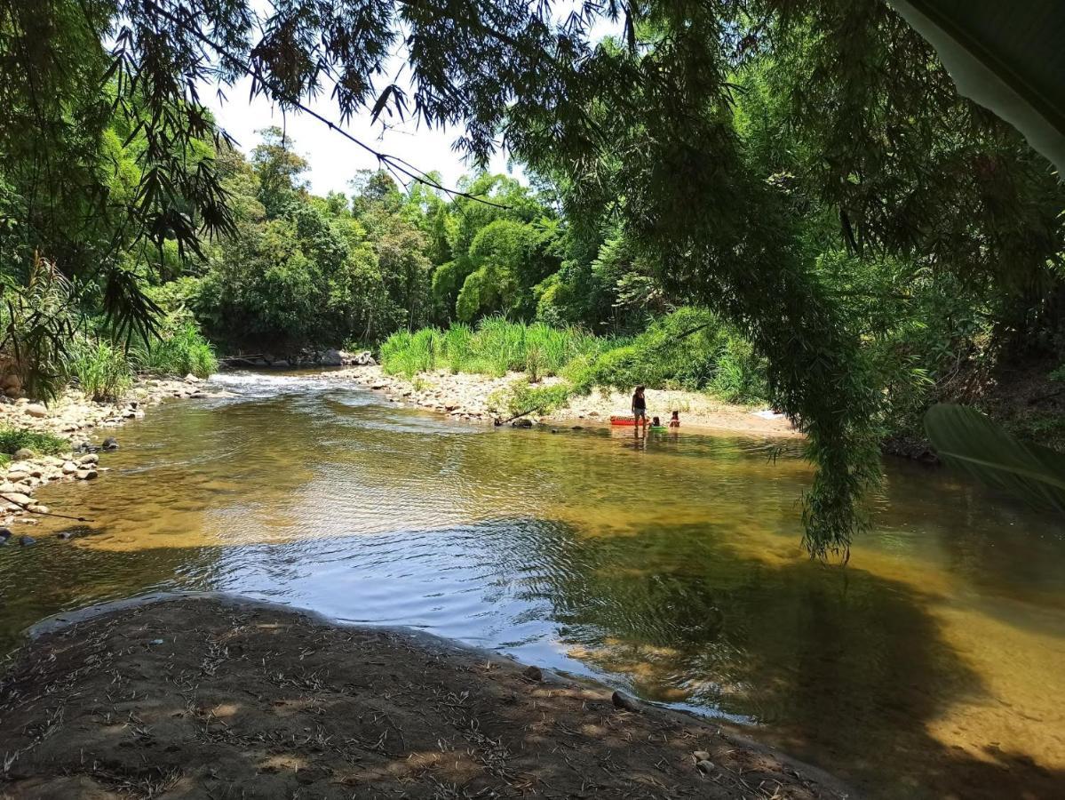 Ecoisa De Chacara - Casa De Vidro, Casa De Campo Morretes Exteriér fotografie