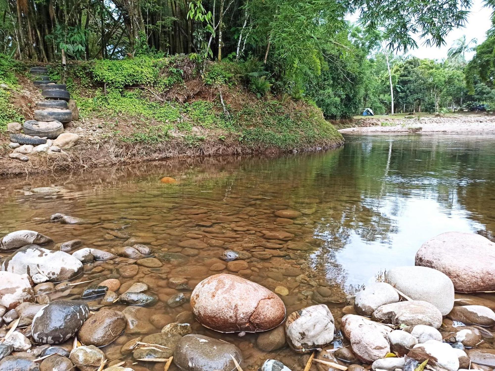 Ecoisa De Chacara - Casa De Vidro, Casa De Campo Morretes Exteriér fotografie