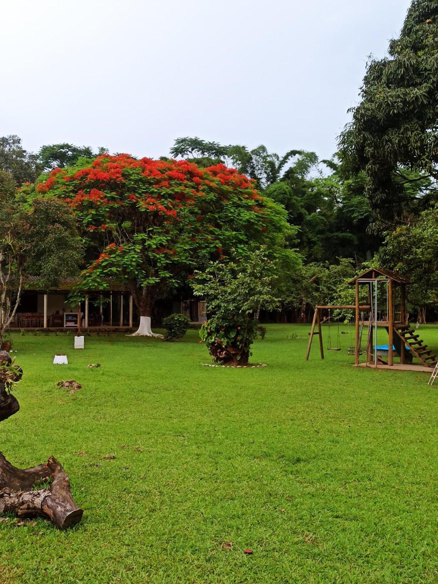 Ecoisa De Chacara - Casa De Vidro, Casa De Campo Morretes Exteriér fotografie